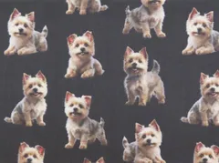 【ゆきちゃん限定】X2462 ケアーンテリア 黒系 コットン生地 1m