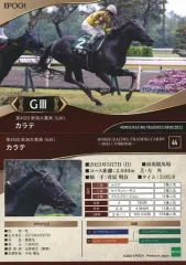 2025年最新】ホースレーシングカード 2023の人気アイテム - メルカリ