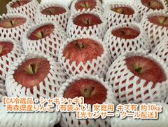 【CA冷蔵品・シャキシャキ】青森県産りんご「有袋ふじ」家庭用 キズ有 約10kg(5kg×2箱)【光センサー・クール配送】