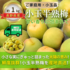 小玉半熟梅 ～甘い香りに包まれて～ 【内容量】約1kg【配送方法】通常配送【サイズ】L以下【品目】梅（うめ）【品種】当店お任せ【産地】長野県【規格】ご家庭用A品B品混合【詰め方】バラ詰め【配送までの日数】1～4日