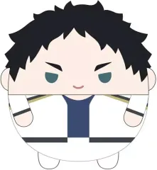 【中古】ぬいぐるみ G赤葦京治 ふわコロりんMsizeSpecial(ぬいぐるみ) 「ハイキュー!!」