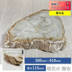 2025年最新】珪化木 北海道の人気アイテム - メルカリ