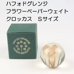 【在庫１点限り・再入荷なし】イギリス　ハフォドグレンジ　フラワーペーパーウェイト　花文鎮　クロッカス　Ｓサイズ【アウトレット・訳あり特価品】【HafodGrange】