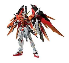 中古】(未使用・未開封品) METAL BUILD デスティニーガンダム (ハイネ  