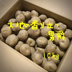 【最終】水留農場のジャガイモ『大地の香り立つ男爵』 10kg