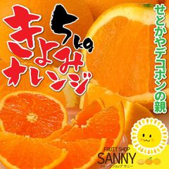 愛媛県産 清美オレンジ 5kg  デコポンやせとかの親になったミカンの歴史に革命を起こした衝撃のオレンジ