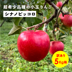 「シナノピッコロ5キロ箱訳あり品」農林水産大臣賞 りんご 長野県産 安曇野 信州産 産地直送 送料無料 5キロ 箱使用 果物 フルーツ 鮮度抜群 産地直送 超希少品種