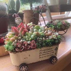 多肉植物寄せ植え そのまま飾れる ちまちま寄せ オーダー制