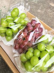 みら様専用　クール便