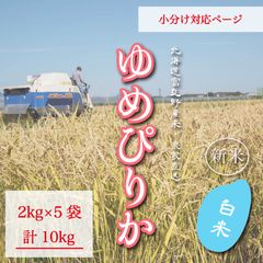 ゆめぴりか　白米2kg5袋　お米10kg お米　米　ブランド米　農家直送