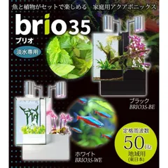 2024年最新】brio35の人気アイテム - メルカリ