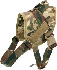 Item thumbnail for item cbc7ac65-6b09-4097-b24a-e995e4002161