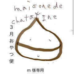 m様専用　おやつ便　シフォンケーキサンド　チーズケーキ　テリーヌ