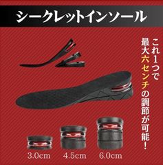 【22.5?27.5cm】シークレットインソール 中敷き 衝撃吸収 抗菌 防臭 靴 黒 ブラック 男女兼用 メンズ レディース フリーサイズ 3段階 高さ調節 サイズ調整 メッシュ素材 エアクッション 脚長 美脚 コスプレ