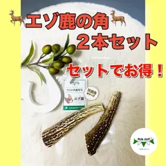 【シーズマート】エゾ鹿さんの角　2本セット　ワンちゃんのおもちゃ　犬のおやつ　ガム