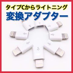 タイプ? ライトニング 変換 アダプター type ? iPhone 充電 白