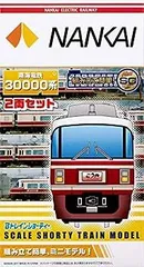 Amazon.co.jp: 南海鉄道 30000系 こうや ネクタイピン 限定品