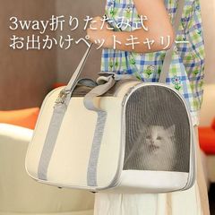 Item thumbnail for item e1af6a23-72cf-4dfa-b0c5-3033325b633f