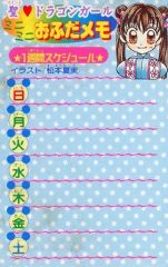 聖ドラゴンガール 手帳 りぼん 応募者全員サービス - メルカリ