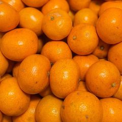 福岡県産　里山みかん 箱込約2kg以上　自然のままに育った土づくり化学肥料農薬不使用みかん