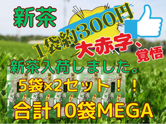 新茶入荷しました!!!全国 送料無料 新茶 八十八夜 母の日 お茶  緑茶  健康 美味しい水出しも作れます  100g×10袋セット　激安粉茶