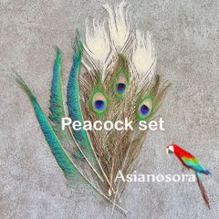 ❤️【クジャク3セット】白 孔雀の羽　 剣  目玉  鳥の羽根