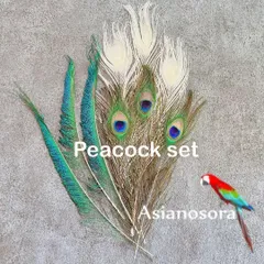 2025年最新】鳥 羽根の人気アイテム - メルカリ
