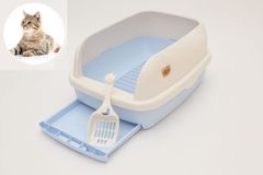 Item thumbnail for item 30fc1e87-7edb-462d-9221-de27f1bfcf33