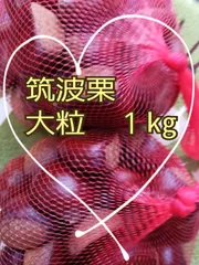 宮崎県産　栗　約10キロ 品種　筑波　b 宮崎県産 栗 約10キロ 品種 筑波 栗 筑波の通販 おすすめ 苗木部