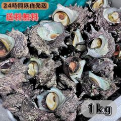 冷凍ムラサキウニ1kg(約35個) 石鯛 黒鯛 石垣鯛 コブダイ 釣り餌