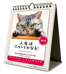 激レア 新品未開封 竹内涼真 2016カレンダー 俳優 その他 ジャパン