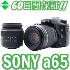 7879ショット!! Sony a65 iPhone＆スマホ転送OK #8347