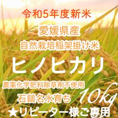 R5年度新米 愛媛県産ヒノヒカリ20kg 自然栽培稲架掛け米 農薬化学肥料