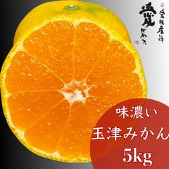 愛媛産　味濃い玉津みかん　秀品＋家庭用ランク込み5kg