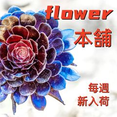 flower 本舗 - メルカリShops