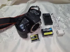 ❤即購入1000円OFF❤ソニー SONY α350 × 超望遠レンズ300ｍｍ レンタル] ソニー α6400 高倍率ズームレンズキット ミラーレス