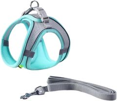 Item thumbnail for item 53783125-29bb-4c79-8ec1-09c78aa2fe05