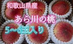 あら川の桃 5～6玉入り 和歌山県産