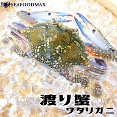 わたりがに ラウンド 10杯 セット  バーレーン産 ワタリガニ 冷凍 ・渡り蟹姿【１０杯】・