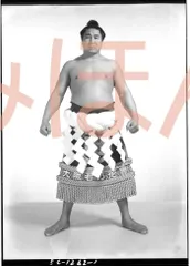 Yahoo!オークション - 未開封品 初代若乃花 花田勝治 人形 12
