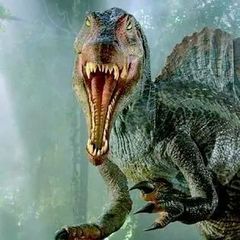 スピノサウルスの牙（3D ケース入り Spinosaurus Fang）