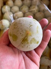 山梨県産　スモモ(レートソルダム)  1.5キロ箱