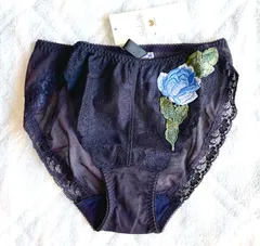 ワコール サルートのショーツ　M  新品