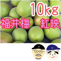宮崎県産摘果マンゴー 10kg 大きめ - メルカリ