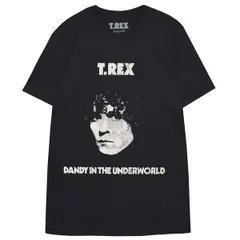 雷神山　Tシャツ　フリーサイズ　20世紀少年　21世紀少年　入手困難　希少品 2025年最新】Yahoo!オークション -20世紀少年 tシャツの中古品