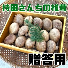 持田さんちの椎茸【贈答用】