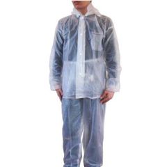 Item thumbnail for item e80b77c2-2d70-4ca1-82be-f7eca9bd723e