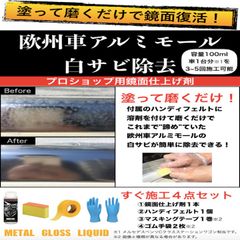 欧州車 アルミモール 白サビ除去 & 白サビ防止コーティング コンプリートセット