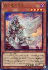 2026年最新】白き竜の落胤の人気アイテム - メルカリ