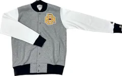 A BATHING APE アベイシングエイプ TIGER FULL ZIP HOODIE スタジャン Mサイズ グレー